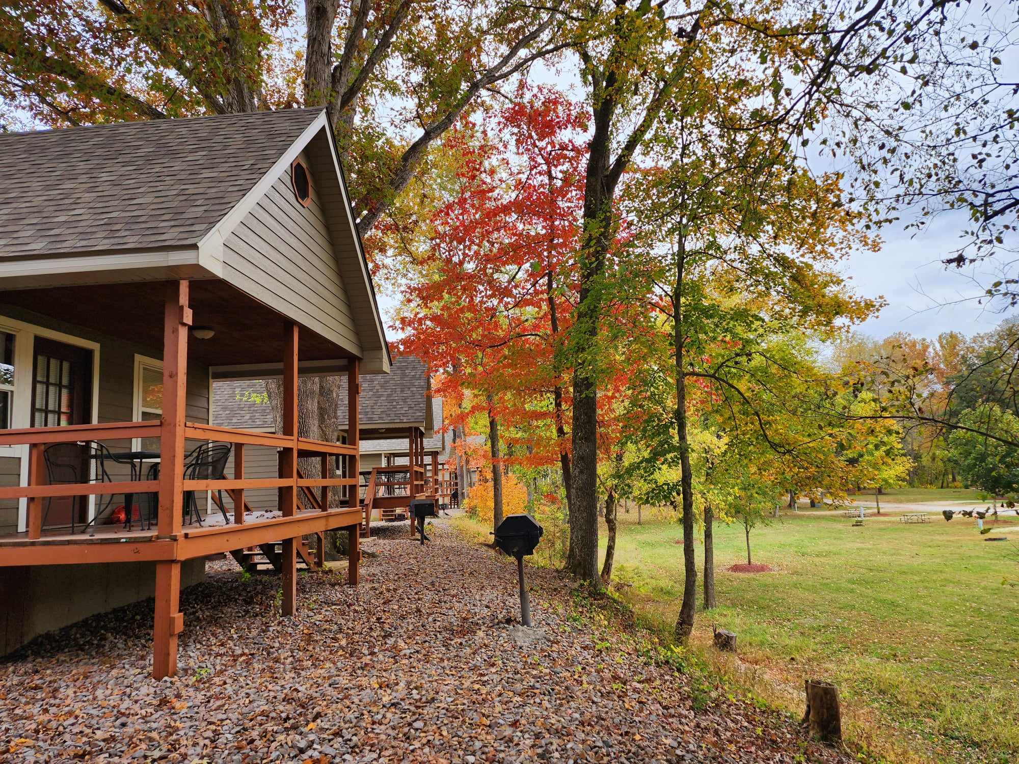 A row of wooden cabins with sloped roofs, nestled among trees with vibrant autumn foliage in shades of red, orange, and green. The cabins have front porches and are surrounded by fallen leaves. A grill stands in the foreground, and a grassy field extends into the distance.