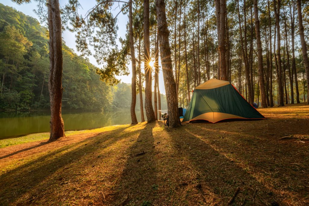 A green and beige tent is set up among tall pine trees near a calm lake. The sun is shining through the trees, casting long shadows on the ground. The scene suggests an early morning or late afternoon in a peaceful forest campsite.