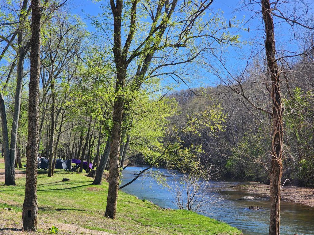 A serene riverside scene with clear water flowing past green grass and trees. Some trees have fresh leaves while others are bare. A clear blue sky is overhead, and tents are visible among the trees on the left.