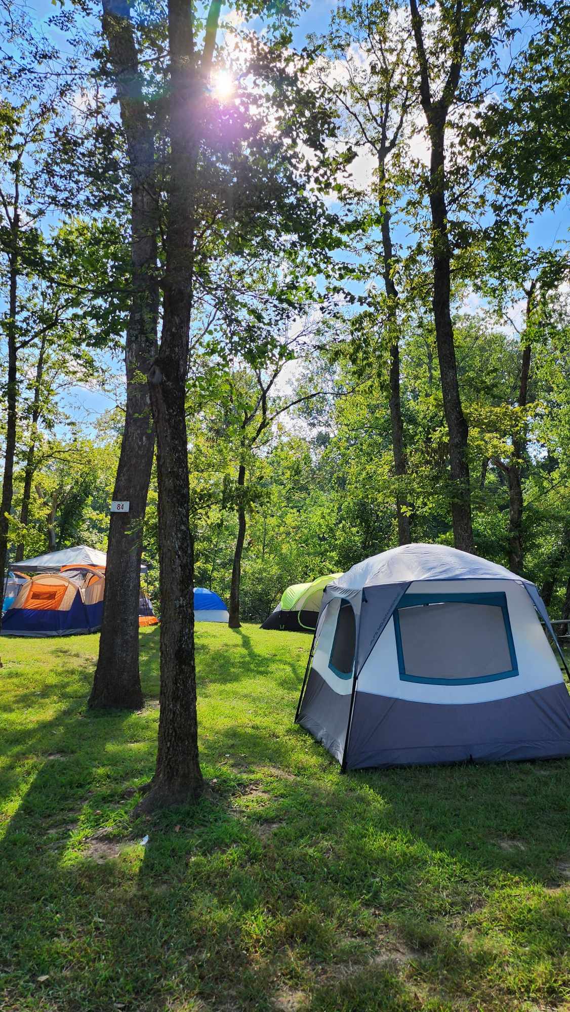 A scenic campsite with several tents set up among tall trees. Sunlight filters through the leaves, casting dappled shadows on the grassy ground. The sky is clear with a few clouds.